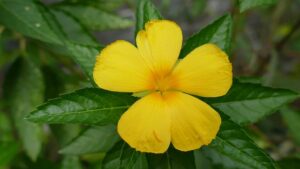 Image elliottclarke.co.uk 669 1746011327964